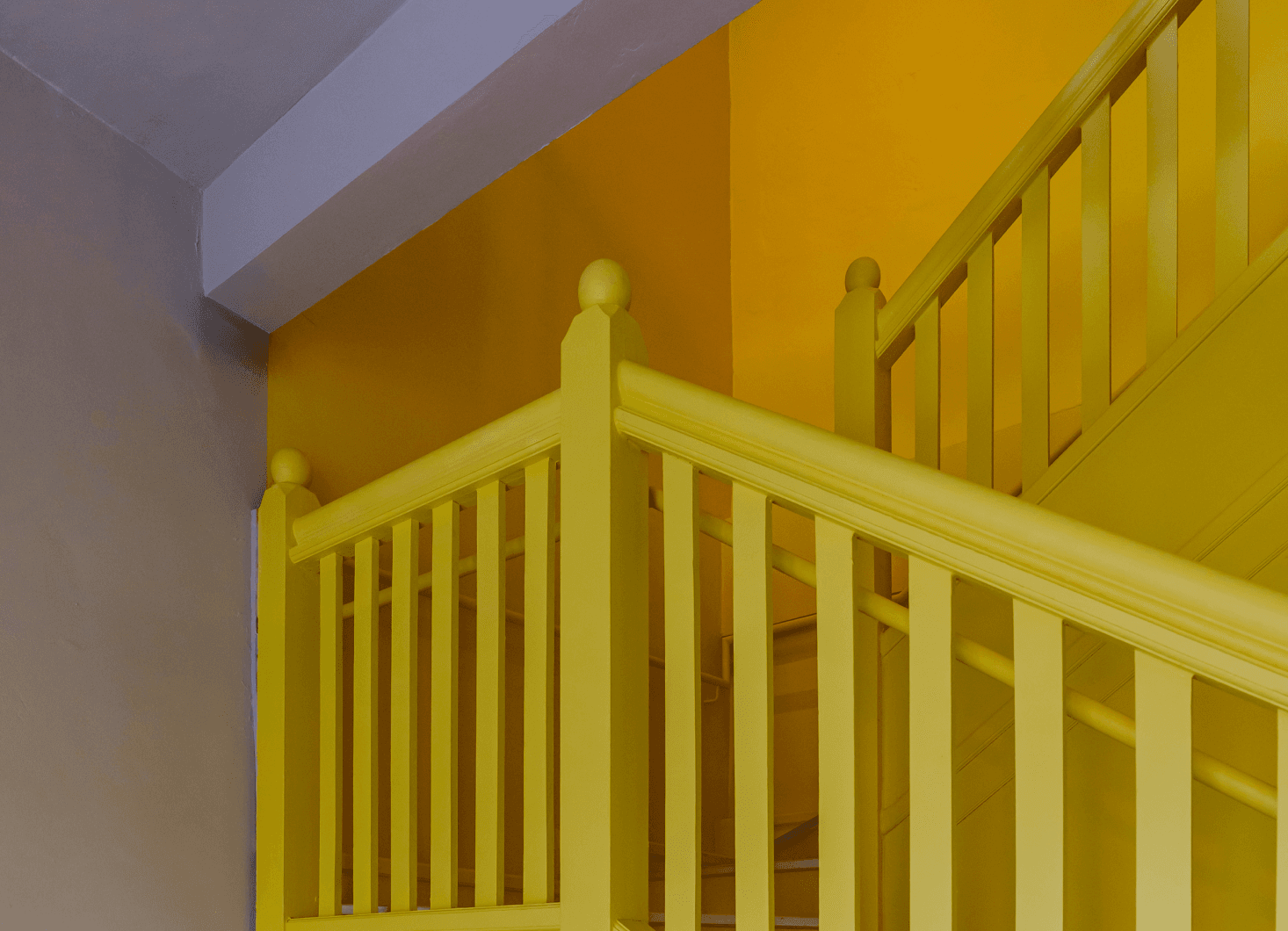 The House gallery image 4